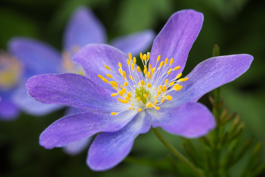 1756770 (a): :5120x3413